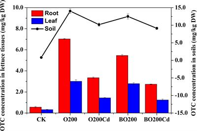 Role of Bentonite on the Mobility of Antibiotic Resistance Genes, and Microbial Community in Oxytetracycline and Cadmium Contaminated Soil